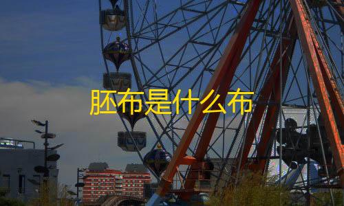 暗区突围单透胚布是什么布